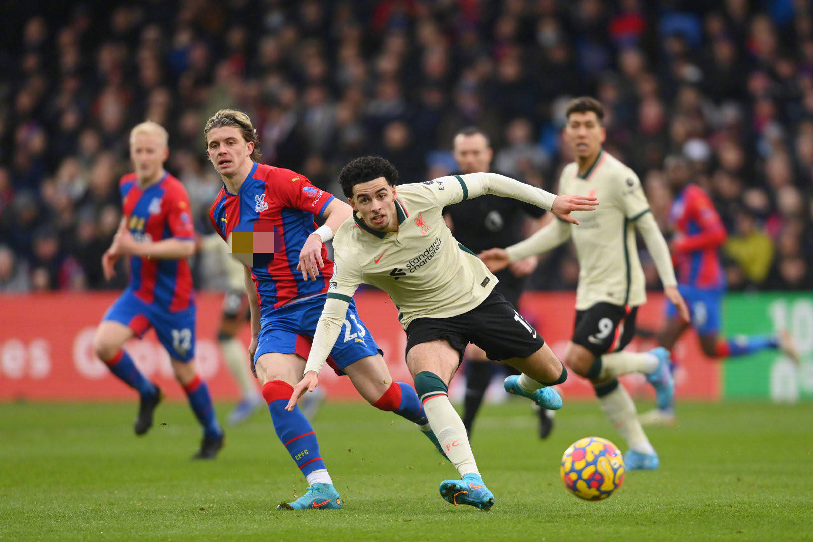 全球女足不 全球女足不